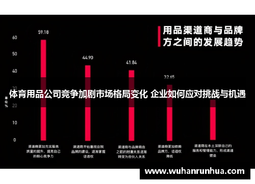 体育用品公司竞争加剧市场格局变化 企业如何应对挑战与机遇